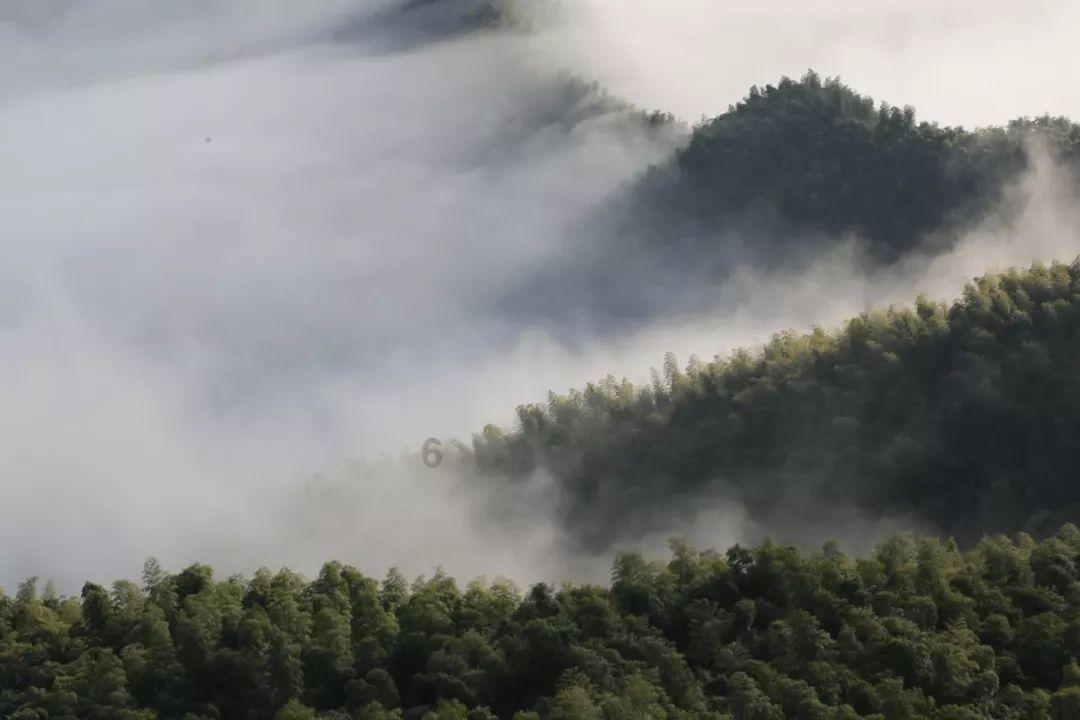救援蓝色小兔