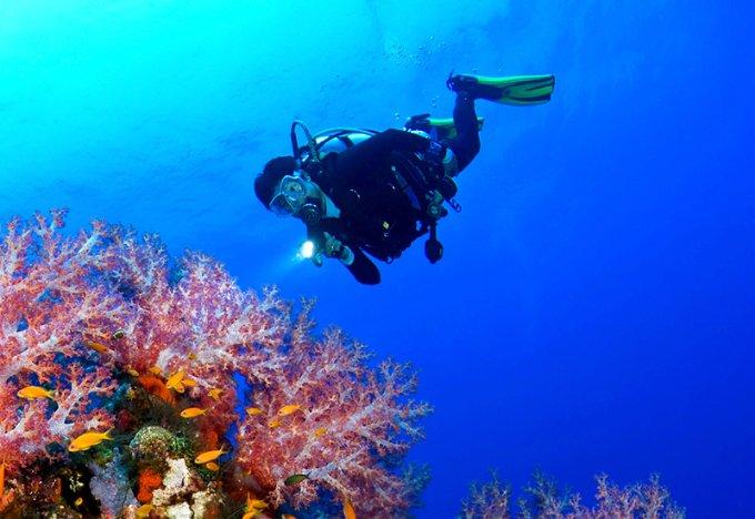 聚焦2024年海南省两会丨琼海出席省第七届人大三次会议代表向大会报到 怀揣民意献良策 奏响履职为民时代强音